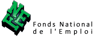 logo fne